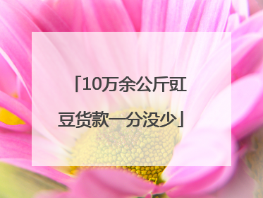 10万余公斤豇豆货款一分没少