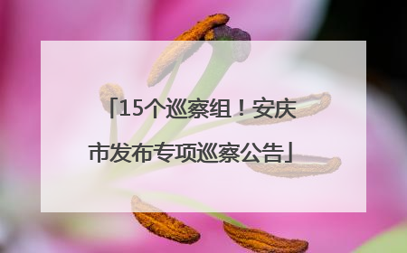 15个巡察组！安庆市发布专项巡察公告