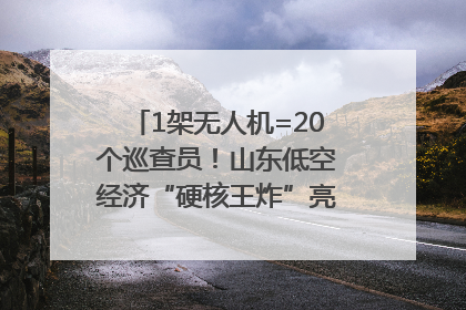 1架无人机=20个巡查员！山东低空经济“硬核王炸”亮相青岛，下一个万亿赛道藏在这里