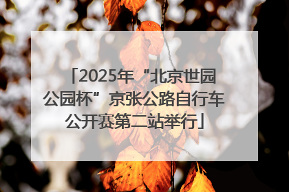 2025年“北京世园公园杯”京张公路自行车公开赛第二站举行