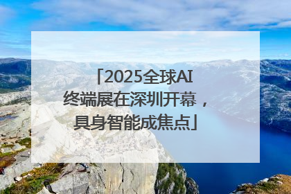 2025全球AI终端展在深圳开幕，具身智能成焦点