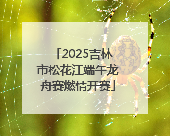 2025吉林市松花江端午龙舟赛燃情开赛