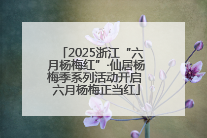 2025浙江“六月杨梅红”·仙居杨梅季系列活动开启 六月杨梅正当红
