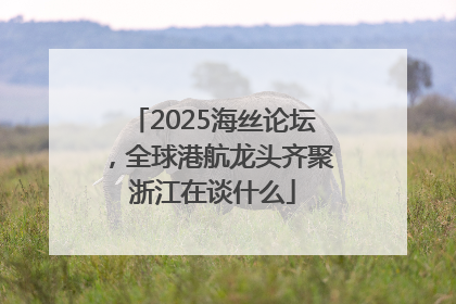 2025海丝论坛，全球港航龙头齐聚浙江在谈什么