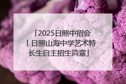 2025日照中招会丨日照山海中学艺术特长生自主招生简章
