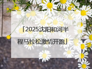 2025沈阳和河半程马拉松激情开跑