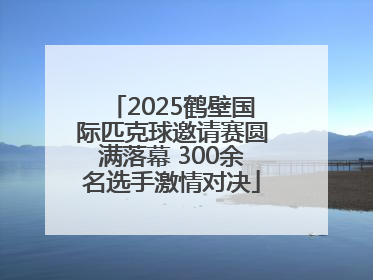 2025鹤壁国际匹克球邀请赛圆满落幕 300余名选手激情对决