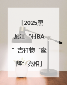 2025黑龙江“村BA”吉祥物“隆隆”亮相