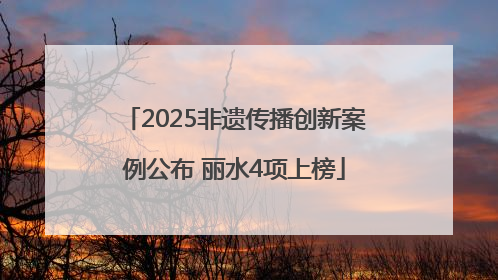 2025非遗传播创新案例公布 丽水4项上榜