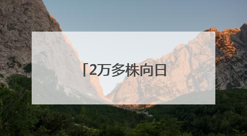 2万多株向日葵盛开，武生院打造全国最美毕业“背景墙”