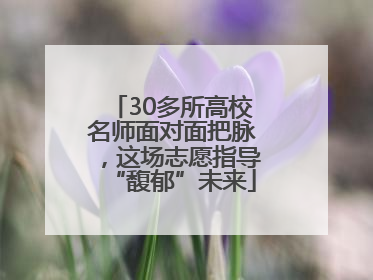 30多所高校名师面对面把脉，这场志愿指导“馥郁”未来
