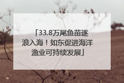 33.8万尾鱼苗逐浪入海！如东促进海洋渔业可持续发展
