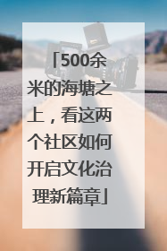 500余米的海塘之上，看这两个社区如何开启文化治理新篇章