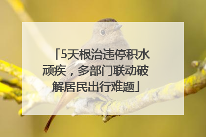5天根治违停积水顽疾，多部门联动破解居民出行难题