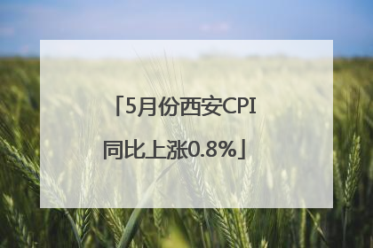5月份西安CPI同比上涨0.8%