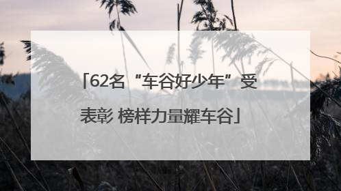 62名“车谷好少年”受表彰 榜样力量耀车谷
