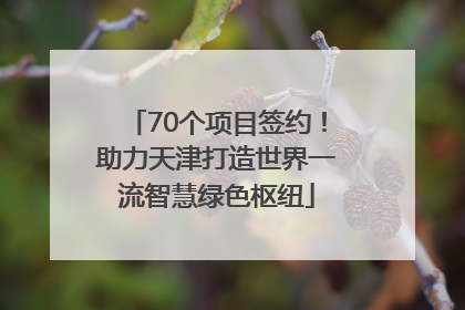 70个项目签约！助力天津打造世界一流智慧绿色枢纽