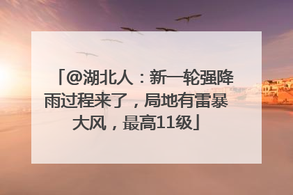 @湖北人：新一轮强降雨过程来了，局地有雷暴大风，最高11级