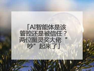 AI智能体是该管控还是被信任？两位图灵奖大佬“吵”起来了