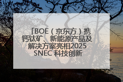 BOE（京东方）携钙钛矿、新能源产品及解决方案亮相2025 SNEC 科技创新赋能行业绿色发展