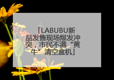 LABUBU新品发售现场爆发冲突，市民不满“黄牛”清空盒机