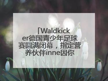 Waldkicker德国青少年足球赛圆满闭幕，指定营养伙伴inne因你陪伴少年前行